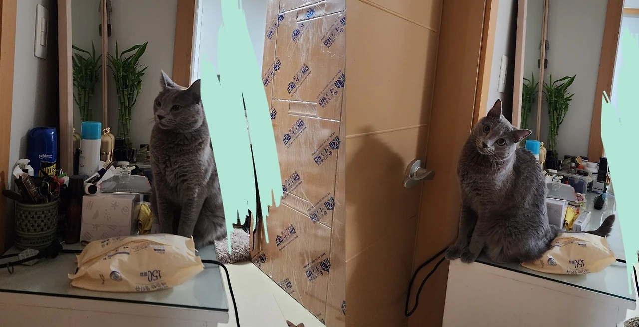 Screenshot 2023-10-18 at 10.29.20.JPG