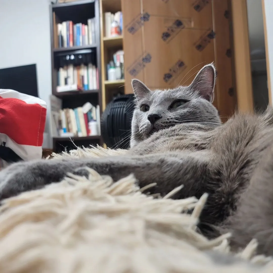 387656974_981583483138683_1882130128536707372_n (1).heic