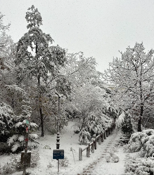 AD_4nXdhvEu4e0ttyYICsOzGZYt3bwlYFnsu1dBAt_vrtiyykV-yPVG4MBOm3yFkp9U4G9qIbiKfECdgjp5bSqc42c3m917KiXVUmv9hvH1zoWPqGQJ-FNC299skxImG7W7XDC3Jgvvj0Q?key=4nOnCz1OzQSEtfhidIv02mXl