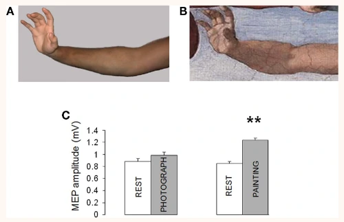 AD_4nXdJWRotnS3_C5VZWE6PElXIoSyMV9578OZvVH9gBvIjpBjS1Ey-Db2mMDhu5FaQwKa0xml7gnNOg8Lf34i52oIEnCCdfDX8jcEmLoRkxtIYO31uYpIICXYgUXzCr1bqidX4W6D92qRTwpvzVHm86HXuZJRV?key=GiGoUoObdyv_7oif1ARFes8L