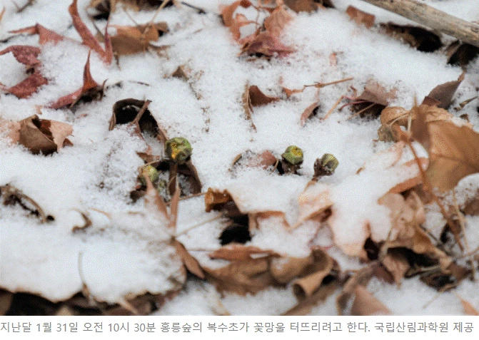 %EB%B3%B5%EC%88%98%EC%B4%882.gif?type=w1600