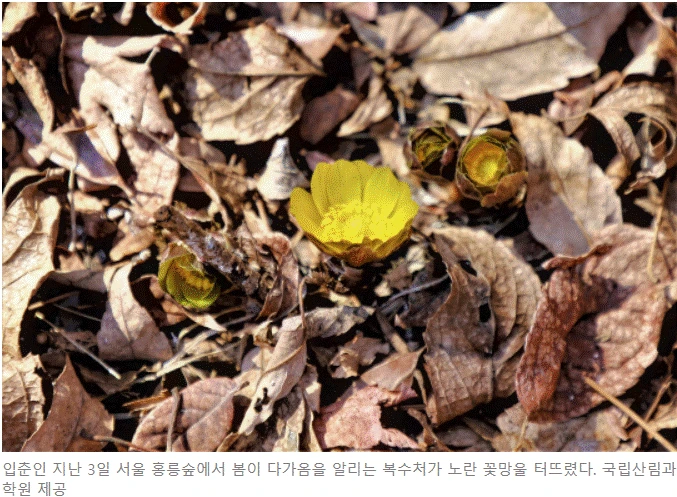 %EB%B3%B5%EC%88%98%EC%B4%881.gif?type=w1600