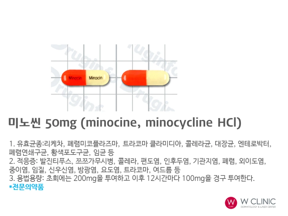 %EC%8A%AC%EB%9D%BC%EC%9D%B4%EB%93%9C50.PNG?type=w1