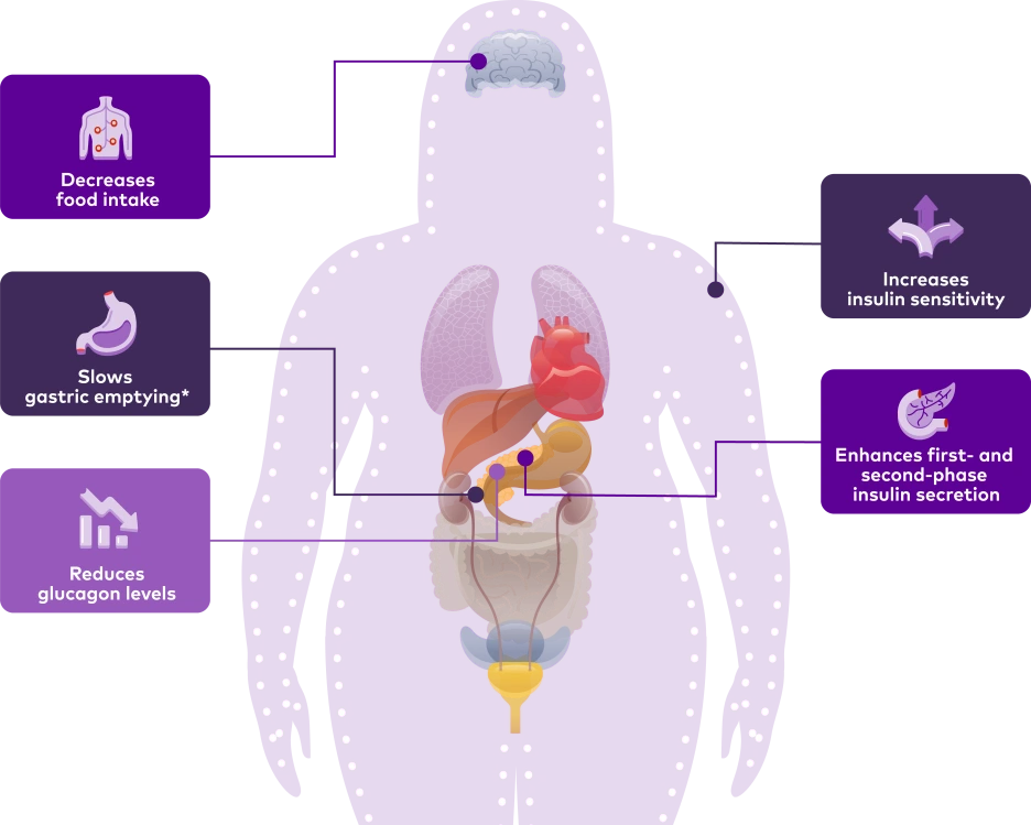 %EB%A7%88%EC%9A%B4%EC%9E%90%EB%A1%9C_work_moa_anatomy.png?type=w1