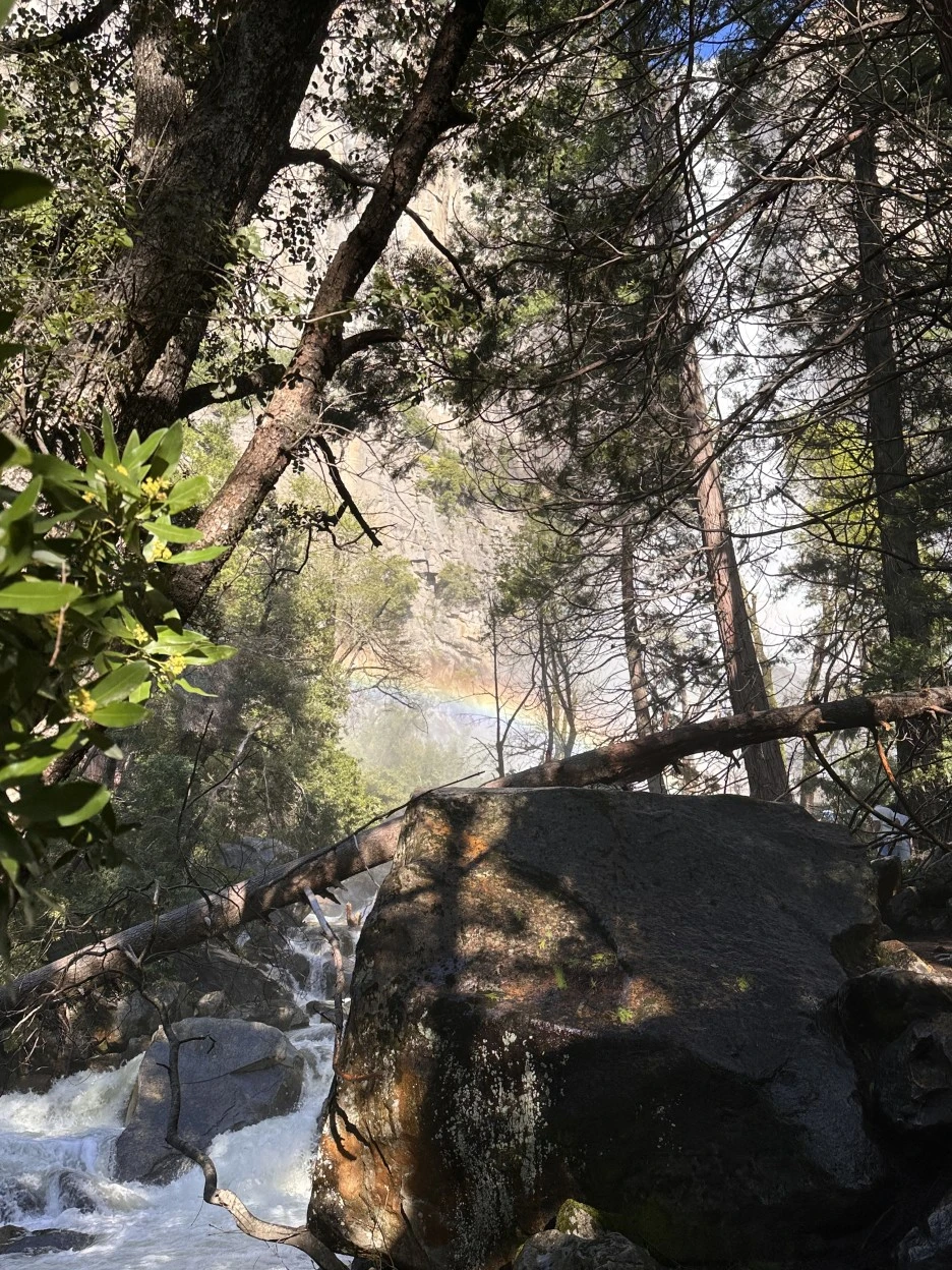 IMG_2437.jpg?type=w1