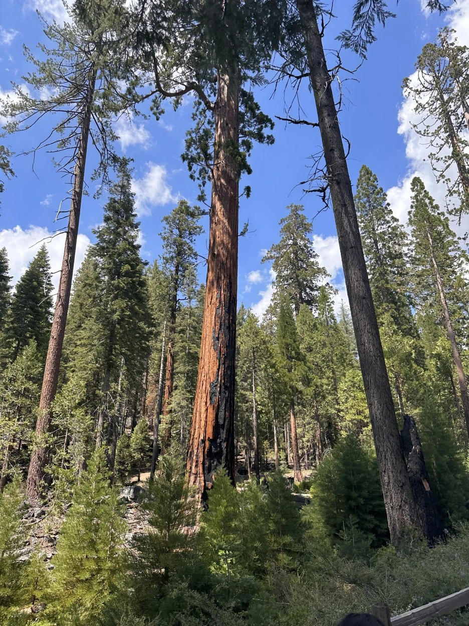 IMG_1974.jpg?type=w1