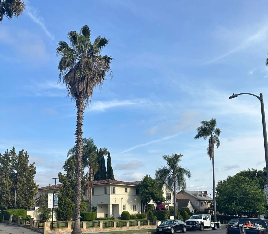 SE-795146c0-63c8-48a8-bd97-dbd75a3be2c2.jpg?type=w1