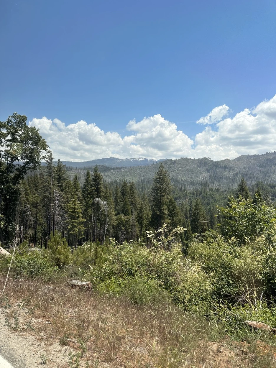 IMG_1907_2.jpg?type=w1