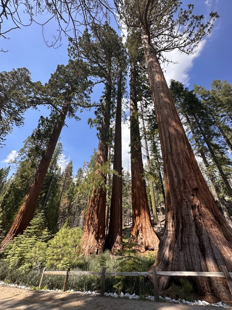 IMG_1984.jpg?type=w1