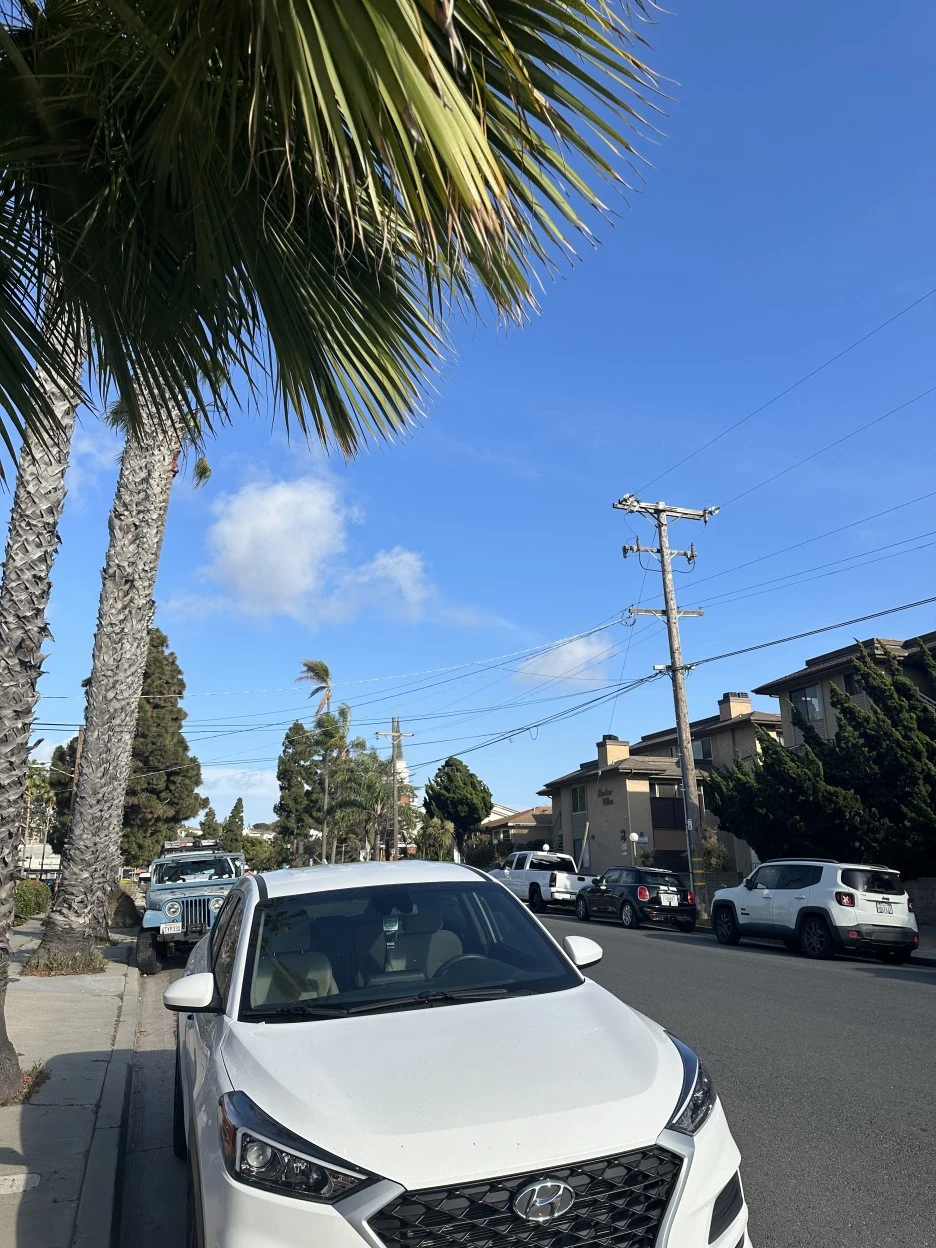 IMG_7706.jpg?type=w1