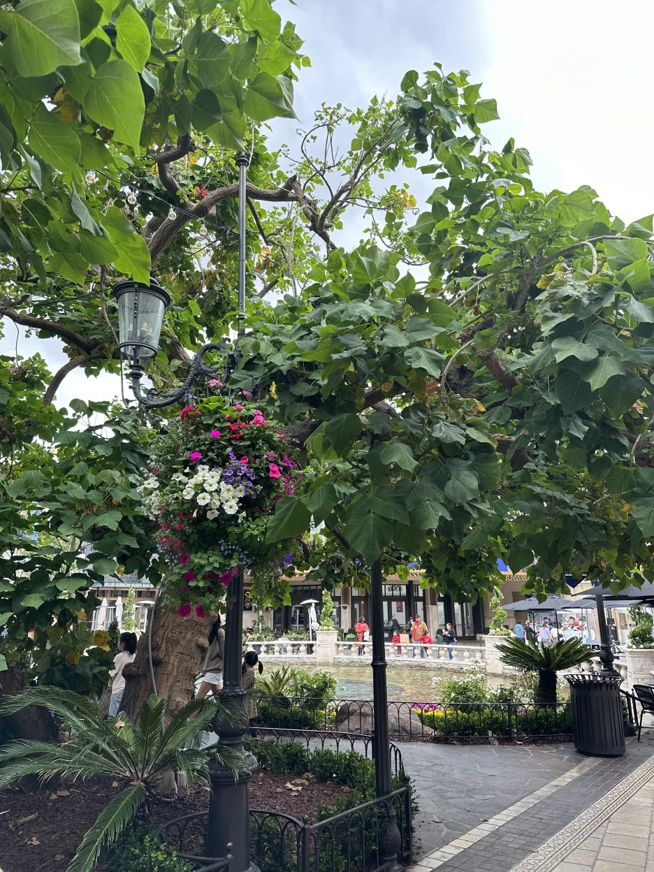 IMG_9369.jpg?type=w1