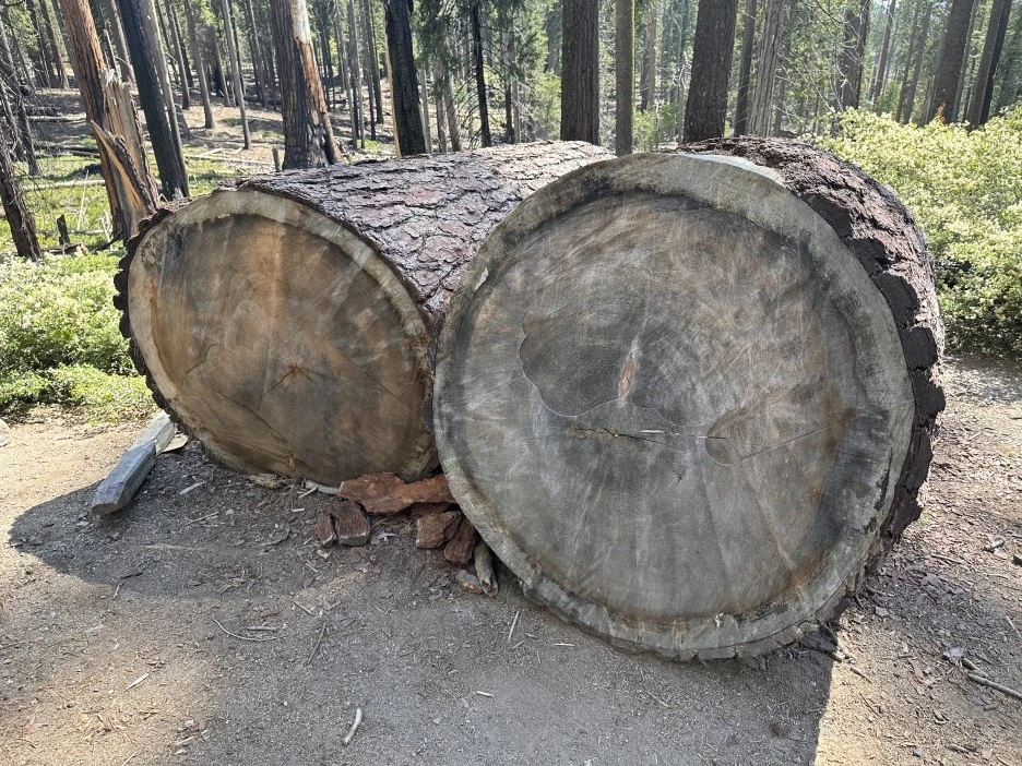 IMG_2025.jpg?type=w1