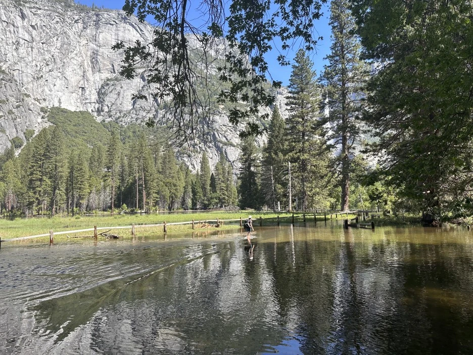 IMG_2642.jpg?type=w1