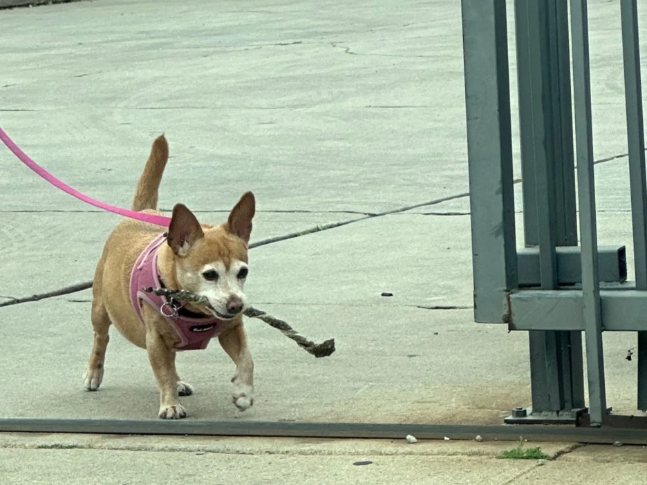 SE-e130d0cd-d0aa-4611-a9b6-5bf8edf37874.jpg?type=w1