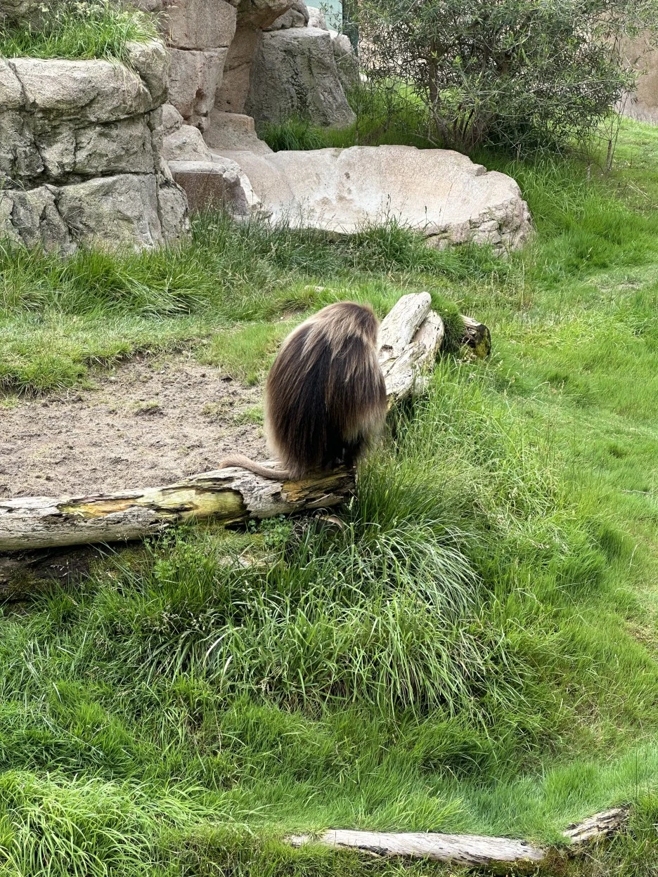 IMG_7915.jpg?type=w1