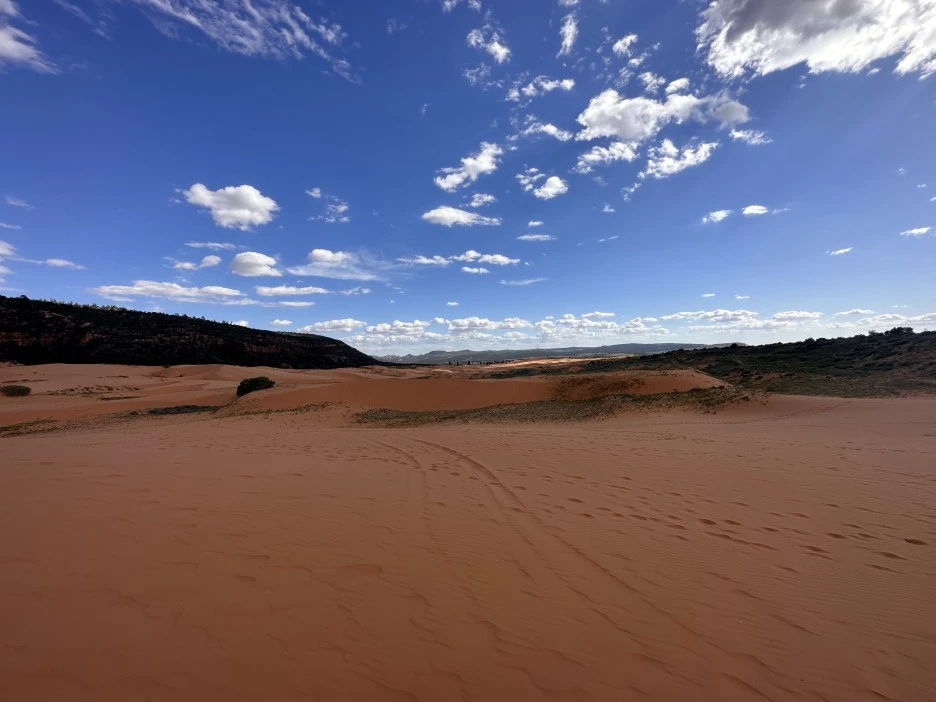 IMG_0514.jpg?type=w1