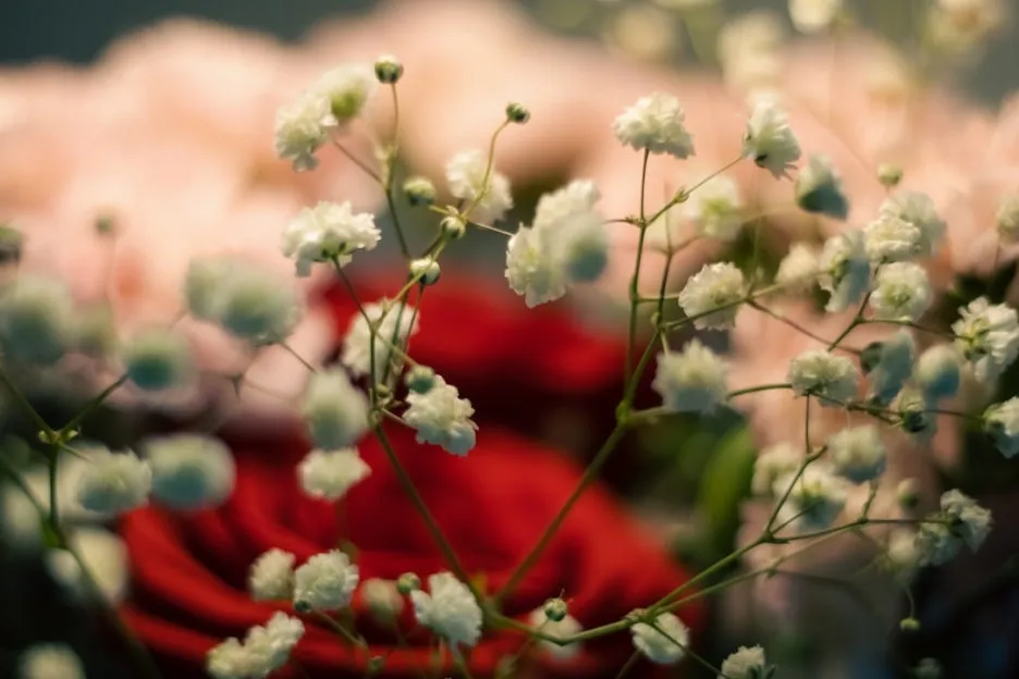 photo-1692709761055-18278a5cbffb.jpg?type=w1