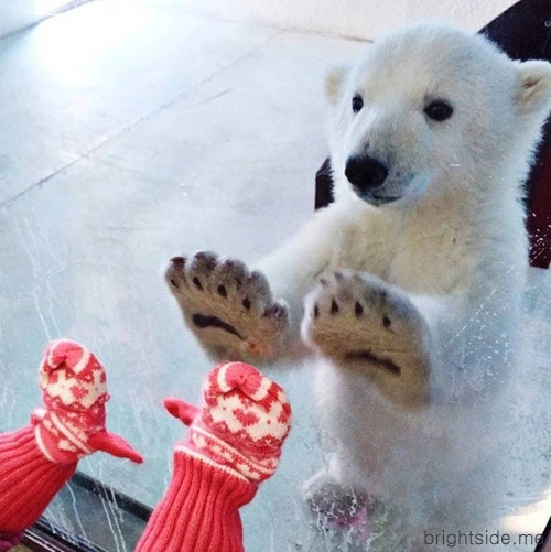 GM32liFAwB2gtN1H6SIzuQYccYWgZF-fJ2xlZN_U_tNrOb1p2lsvTIQ2ZOk4awKF32pGRppIq9I7zHxwTF_YO0Mmg6i_JCz4DNvZuK4W0QJK4Yeqa04vJsfdpXDqELVyUunG2HA02cnrym6yAfsPW4s