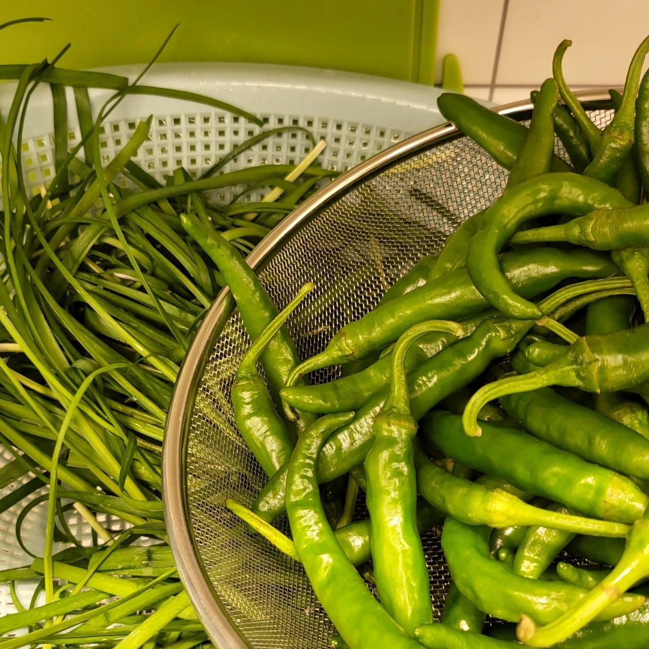 c_i24Ud018svc1et4wrdyempdb_swzq0a.jpg?type=e1920_std