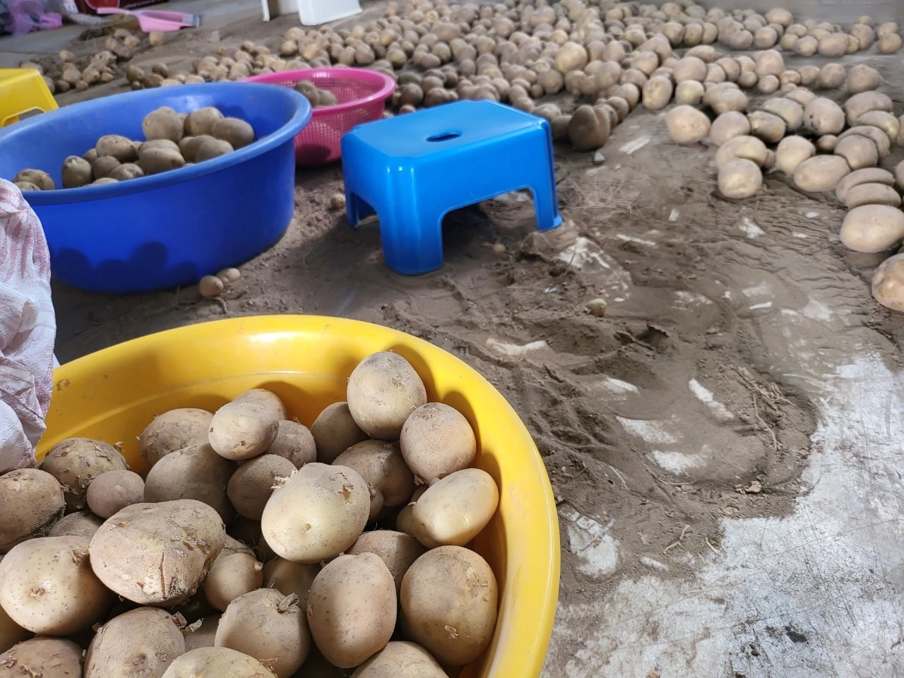 j_a47Ud018svcfwqkyryo549i_swzq0a.jpg?type=e1920_std