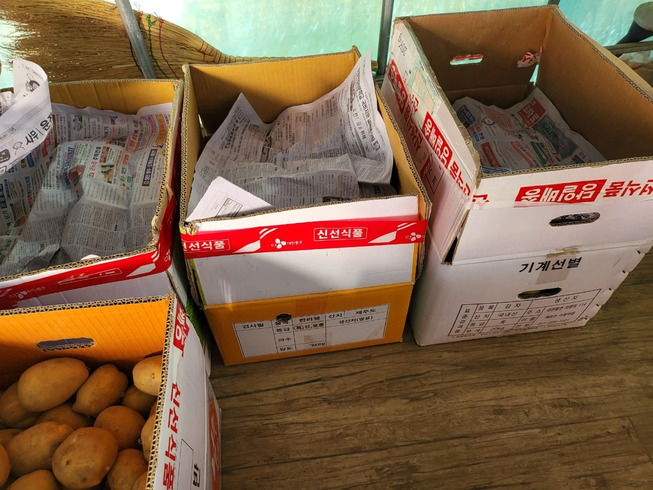 j_c47Ud018svcysmsssd55nof_swzq0a.jpg?type=e1920_std