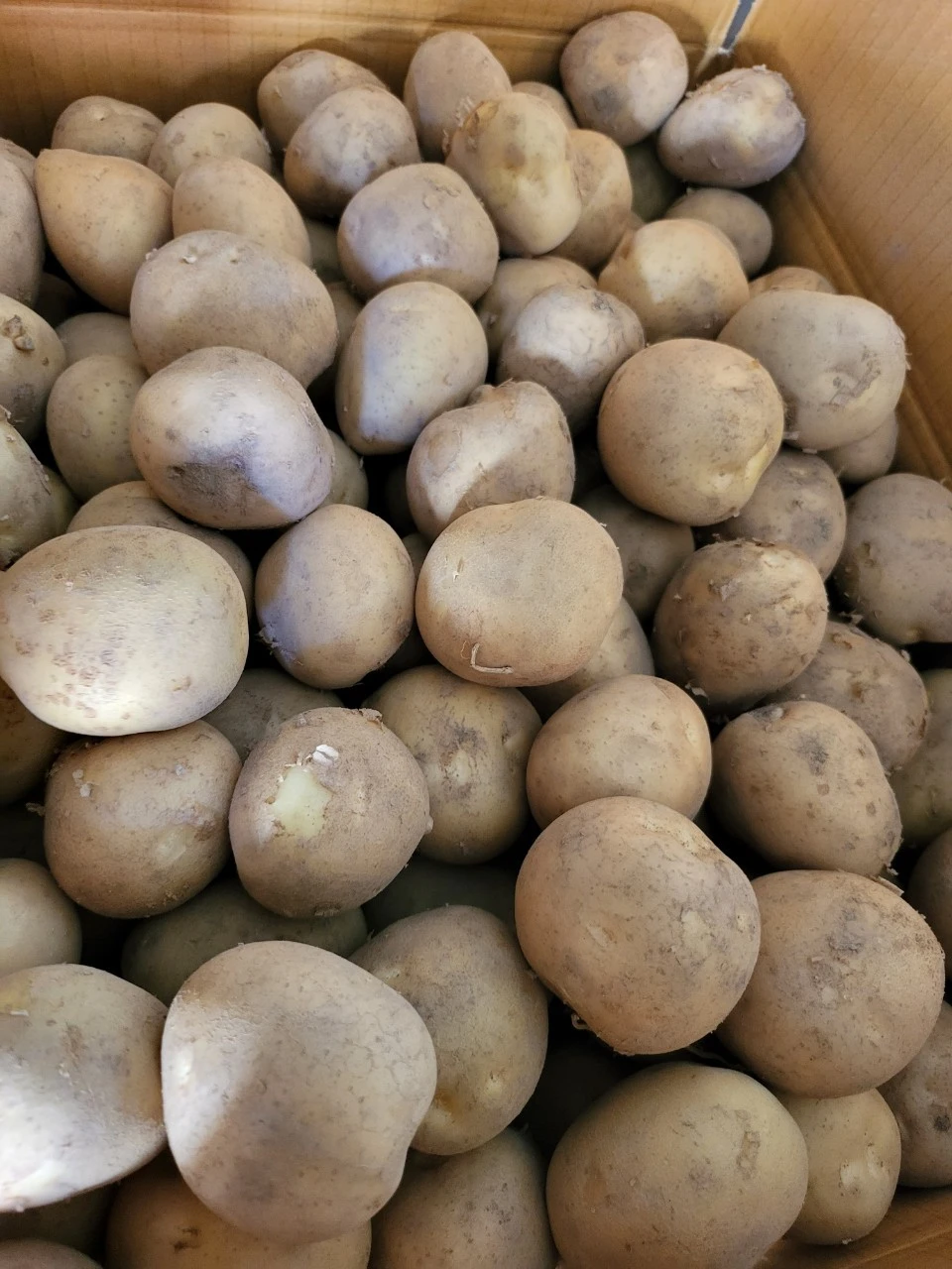 j_a47Ud018svc1jjup9qfwj65h_swzq0a.jpg?type=e1920_std