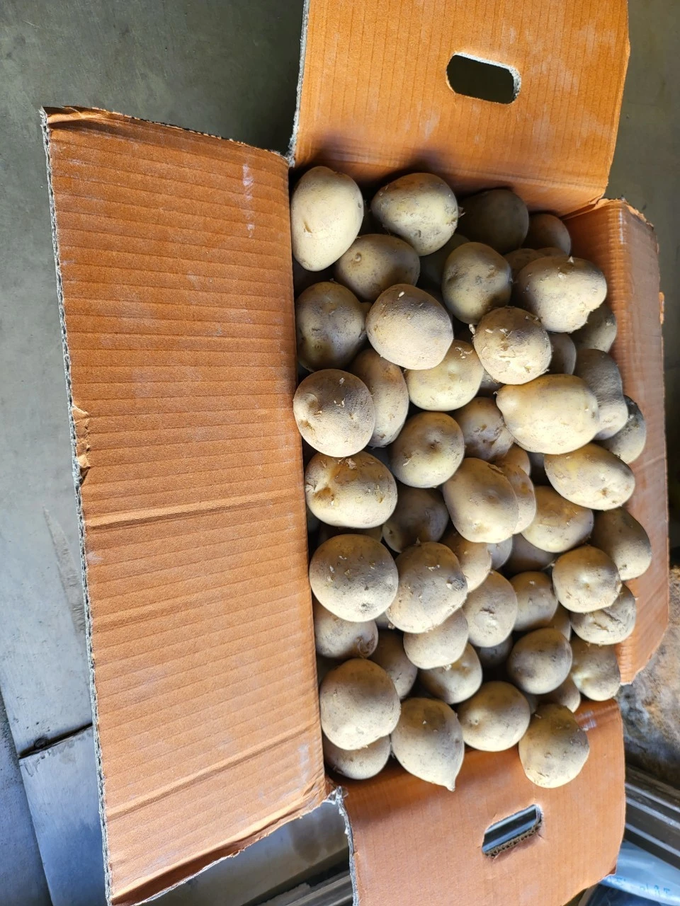 j_c47Ud018svc1h7hj86onuyav_swzq0a.jpg?type=e1920_std