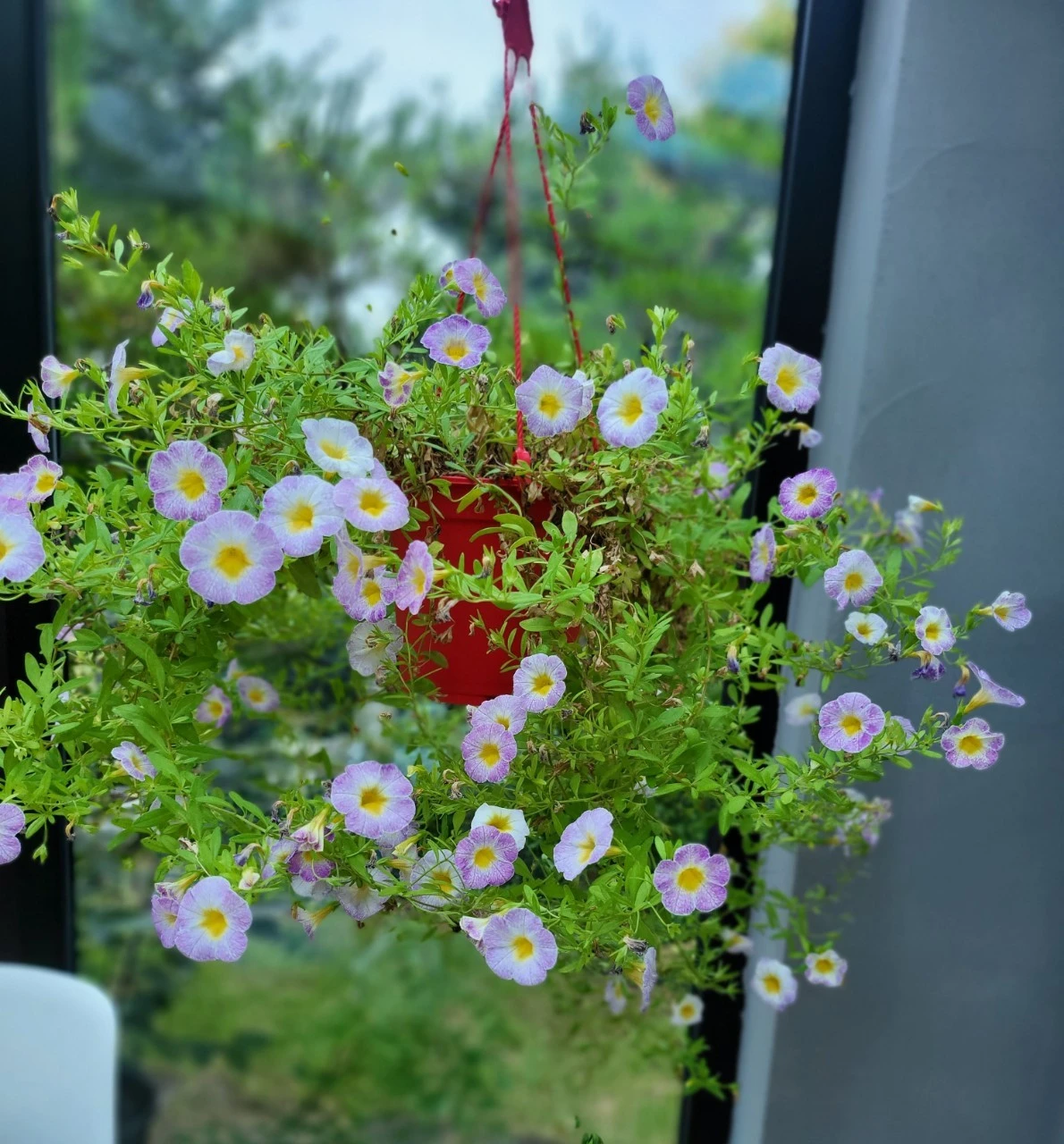 d_578Ud018svcapvvmaxi1mat_swzq0a.jpg?type=e1920_std