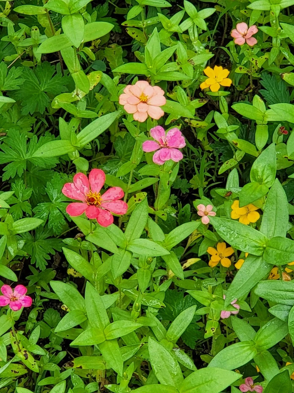 7_j4jUd018svc1b60a6cs6t4dn_swzq0a.jpg?type=e1920_std