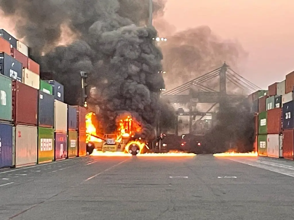 WhatsApp Image 2023-10-13 at 16.17.51.jpeg