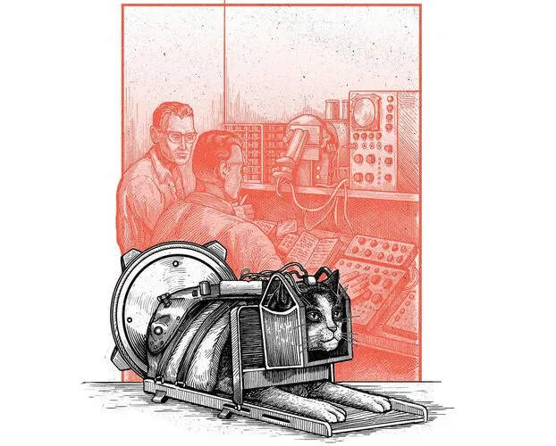 펠리세트2_르 파리지앵.jpeg