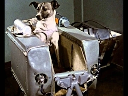 라이카1 편집.jpeg