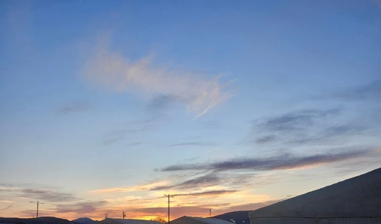 SE-519bfbbf-fde1-11ee-913f-63c6be28a48e.jpg?type=w773