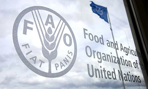 ?src=%22https%3A%2F%2Fwww.fao.org%2Fimages%2Fcorporatelibraries%2Ffao-images%2Ffao-logo_window.jpg%3Fsfvrsn%3D6a014d26_19%22&type=ff500_300