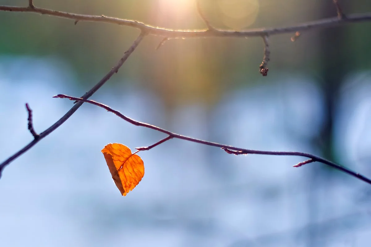 GettyImages-1058188246.jpg?type=w1200