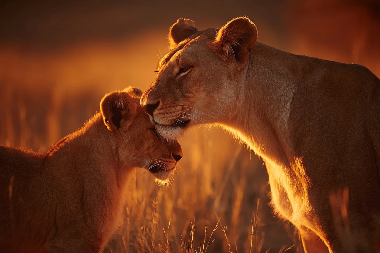 AI로 만드는 다큐멘터리 사진, 미드저니 프롬프트 10 7.jpeg