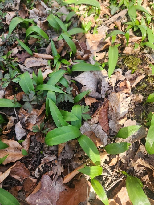 KakaoTalk_Photo_2025-03-23-09-30-04 002.jpeg