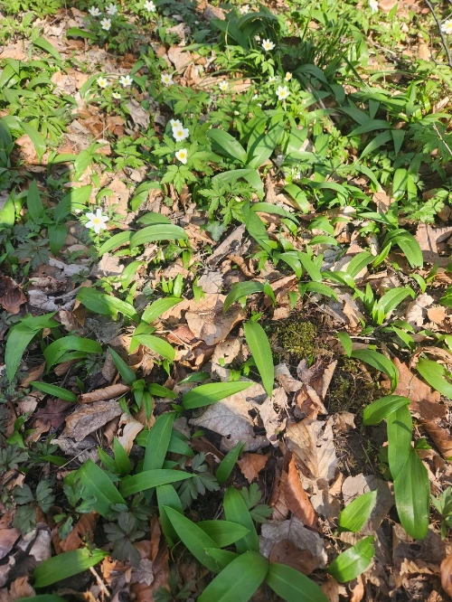 KakaoTalk_Photo_2025-03-23-09-30-06 003.jpeg