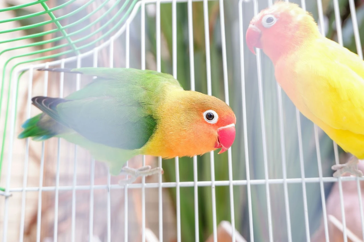 AD_4nXfGSuRa2qXSJEky4pxgNBLUlTSr4Hd5iUT4D6ejbA2ziK0Ihh1lnYwPmT2nxAFGOY0ZOFlr4-Apq39gAMW2ie8FUru44kKR5f6MZu5AjWE1nQAjb65dr2CNpzh9i5LaUN43TS4ymZJemiiEW2EdfjnGHgc?key=u4mSvH_aOL_Z_GRWE8t17Q