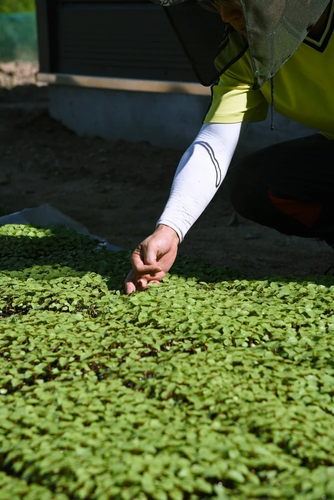 DSC_6497.jpg?type=w1600