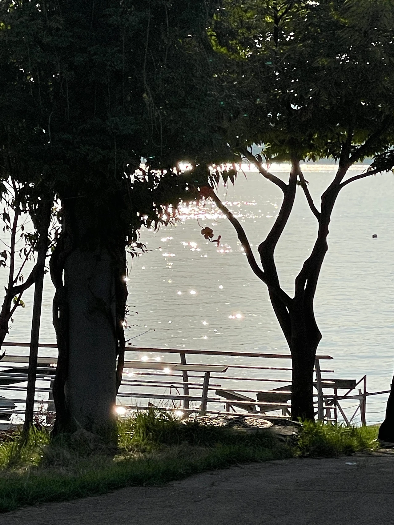 IMG_5428.jpeg?type=w1600