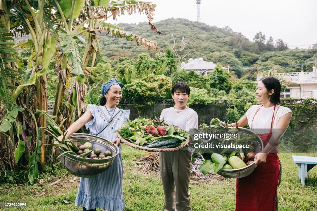 japanese-women-with-basket-full-of-fresh-crops-from-their-garden.jpg?s=1024x1024&w=gi&k=20&c=ZMFpyVhH08wngCvBuMvm5FjzPTQ-ffbjya5jbJ7BxMg=