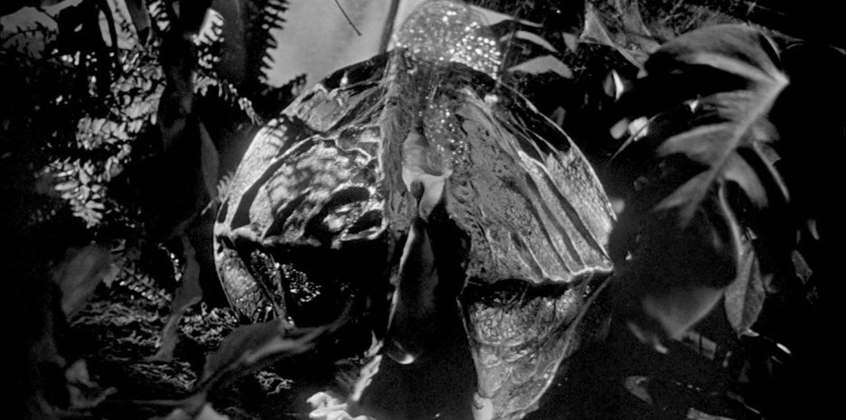 Linvasione-degli-ultracorpi-Invasion-of-the-Body-Snatchers.jpg?type=w1