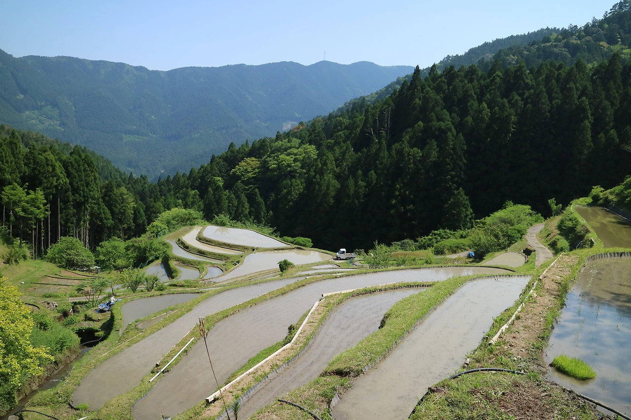 경관 - 다랑이 논1.JPG