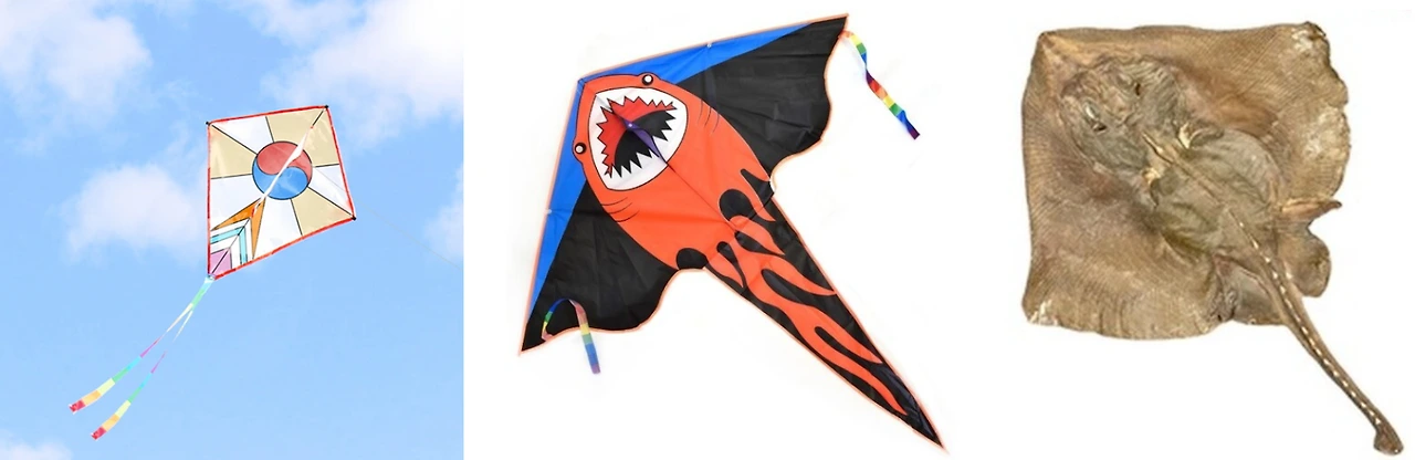 w5nkH4B-jm1g2zqAryrTA2o6XKw3o5WPZf_Td5bf9N7IS7lscW6CD0tsMQvZKHky8dwiTt9ycYZLTsqJ8frKH51JzVBuDR7xhlYJ78ZctmEa0yGJPF0sCVWbOcLY8M6tEGvr0ac4o5PBL9j-i1QUjIA