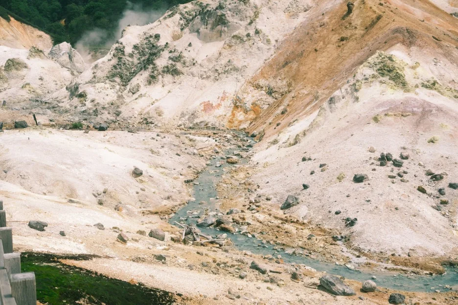 20240713-%EB%85%B8%EB%B3%B4%EB%A6%AC%EB%B2%A0%EC%B8%A0_%EB%8F%84%EC%95%BC%EC%BD%94-11.jpg?type=w1