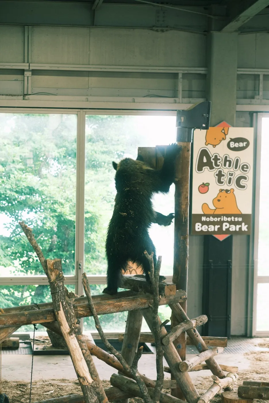 20240713-%EB%85%B8%EB%B3%B4%EB%A6%AC%EB%B2%A0%EC%B8%A0_%EB%8F%84%EC%95%BC%EC%BD%94-41.jpg?type=w1