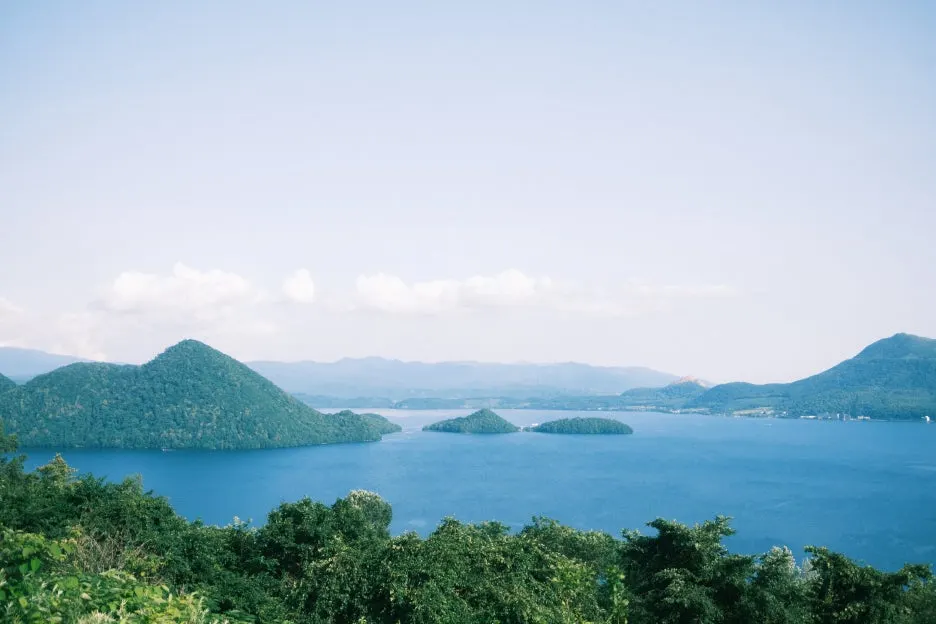 20240713-%EB%85%B8%EB%B3%B4%EB%A6%AC%EB%B2%A0%EC%B8%A0_%EB%8F%84%EC%95%BC%EC%BD%94-62.jpg?type=w1