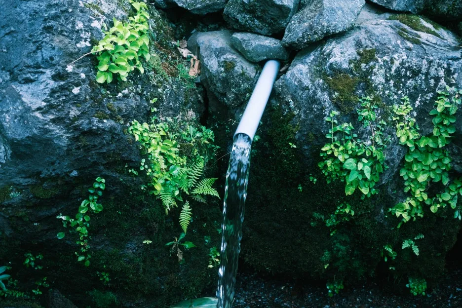 20240713-%EB%85%B8%EB%B3%B4%EB%A6%AC%EB%B2%A0%EC%B8%A0_%EB%8F%84%EC%95%BC%EC%BD%94-75.jpg?type=w1