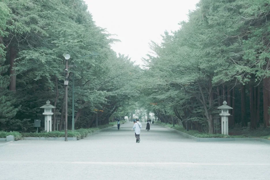 20240715-%ED%99%8B%EC%B9%B4%EC%9D%B4%EB%8F%84_%EC%8B%A0%EA%B6%81-33.jpg?type=w1